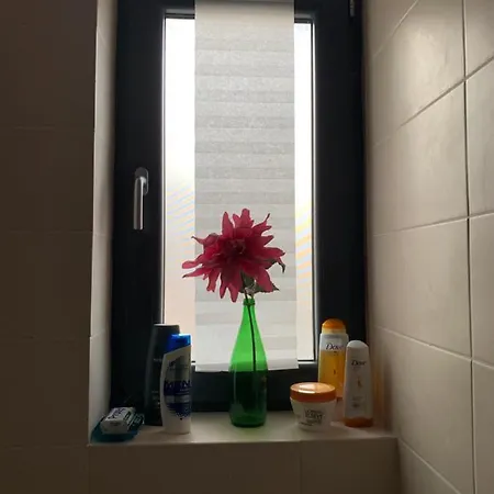 Beautiful Greenfield Appartement Bucarest